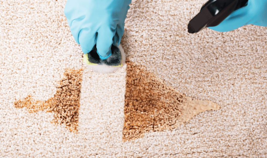 T&E Housekeeping and Janitorial